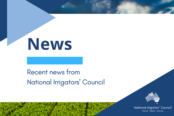 New NIC Membership options