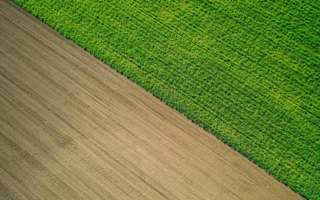 beautiful-aerial-shot-green-agricultural-field