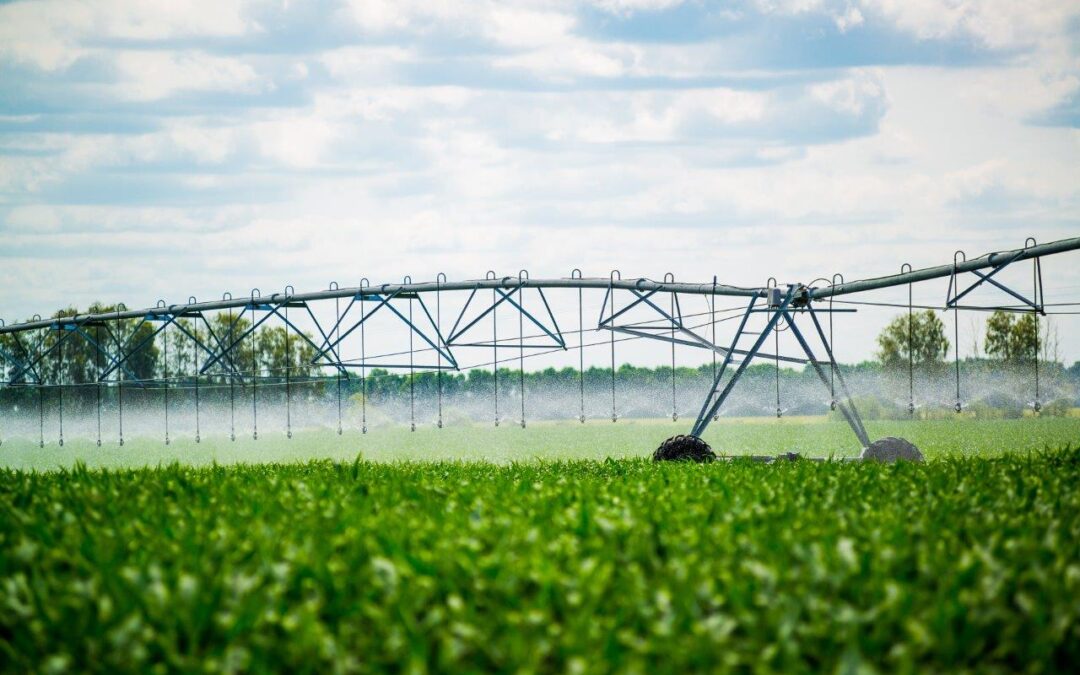 irrigation-pivot-watering-field