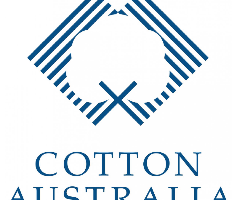 cotton logoArtboard 1