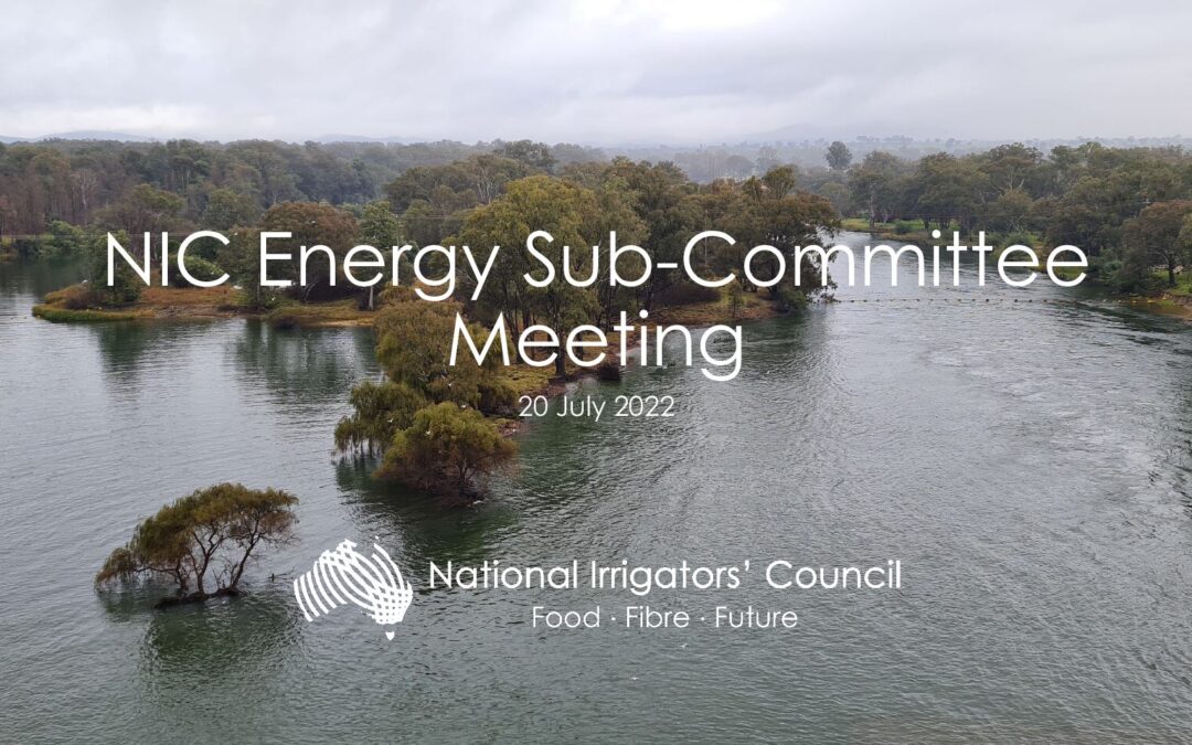 Energy Sub-Committee – July 2022