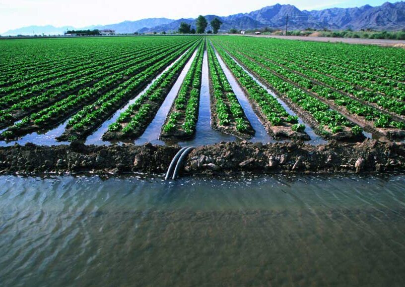 border strip irrigation NOT LICENSED