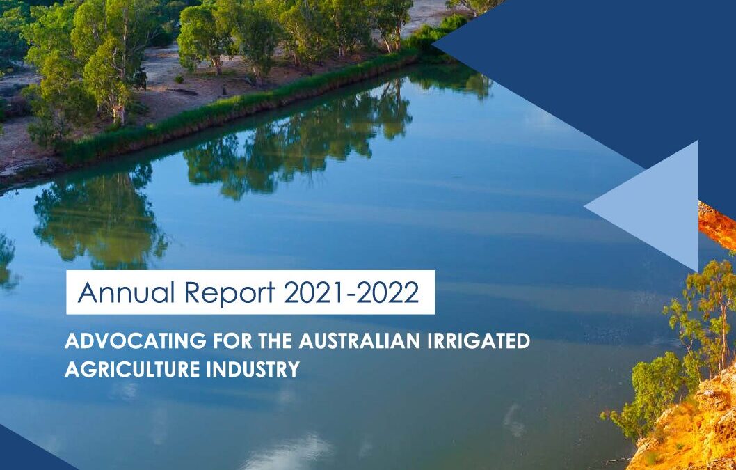NIC Annual Report 2021-22